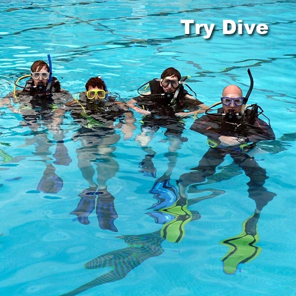 Try Dive